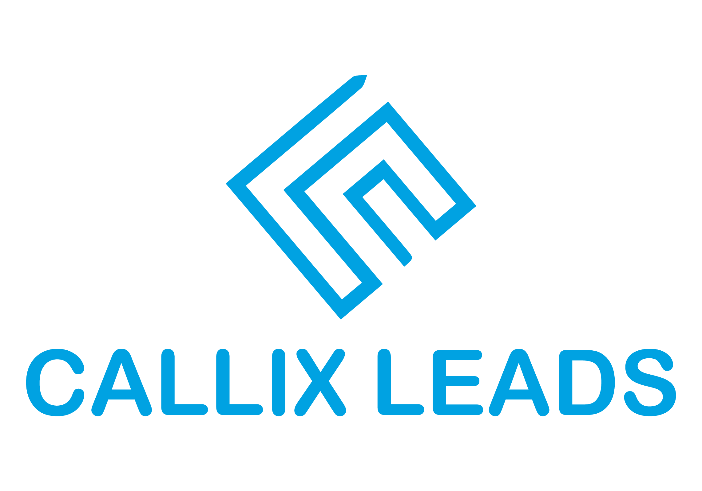 Callix Leads logo